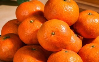 沙糖桔的产地，当前主产于广东、广西等地