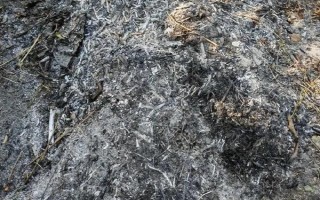 草木灰的主要来源，来源于生活、生产和工厂