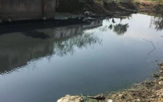 锯缘青蟹如何养殖,是我国珍贵的水产品之一