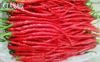 红椒苗的价格，一株需要0.2-0.8元左右