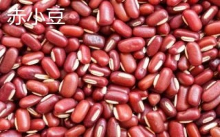 广东省阳春市的特产,马水桔在国内外享有盛名