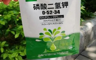 沙糖桔在几月份放钾肥，挂果一星期后将钾肥和氮磷肥混合着施