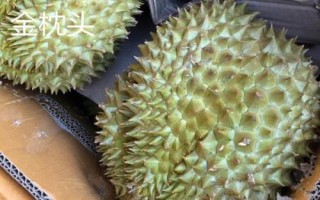 榴莲的产地，产地遍布东南亚各国