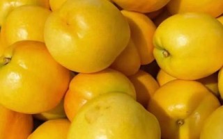 好吃的桃子品种有哪些，鹰嘴桃、砀山黄桃、水蜜桃、黄金油桃等品种的口感比较好