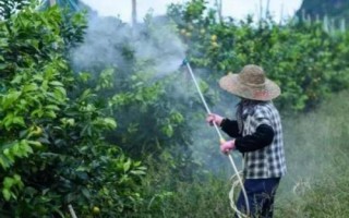 生物农药使用注意事项,要掌握正确使用的技术
