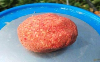 夜钓鲫鱼有什么技巧,饵料和钓具要选对