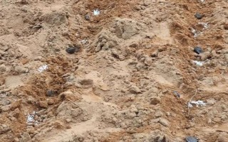 九里香如何养殖，养殖时应用排水性好的沙质土