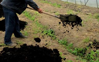 磷肥施用方案，要因土施用