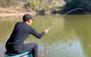 台钓鲫鱼子线要多长，根据鱼情、季节、钓法等决定