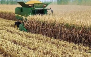 农业劳动生产率，反应了劳动者的生产效果和能力