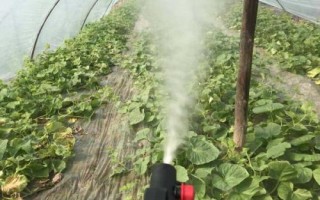 噻虫嗪可以防治哪些害虫,比吡虫啉更有优势