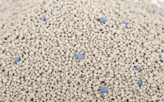 猫砂有哪些种类，膨润土猫砂、豆腐猫砂、原木猫砂等种类较常见