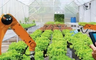 农业科技项目包括哪些，包括精准农业、智能农业、生物农业等