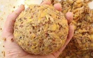 钓鱼的技巧,要等发窝后再下竿