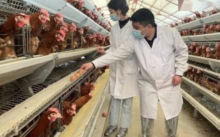 畜禽标识和养殖档案管理办法的内容，在我国境内从事相关生产等活动都要遵守