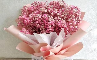 满天星的花语，寓意思念之情、纯洁的爱等