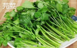 哪些蔬菜适合在3月份种植,包括空心菜、丝瓜、苋菜等品种