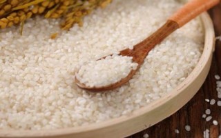 什么是珍珠米，本质属于粳米