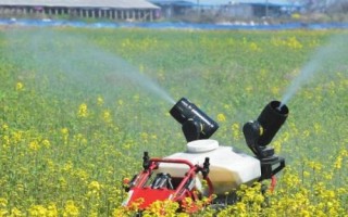 恶唑氰氟能除什么草,主要防除水稻田中的千金子、稗草、马唐、牛筋草等