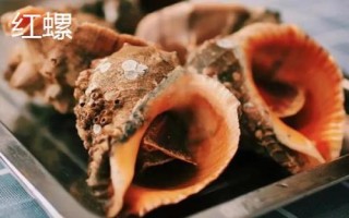 食用螺品种,田螺在各地湖泊中随处可见