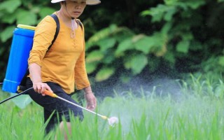 氯吡嘧磺隆不能对哪些作物使用,忌对各种瓜类与阔叶作物使用