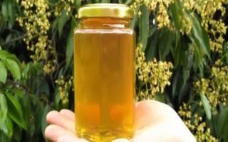 正宗荔枝蜂蜜的价格，一般30-50元一斤