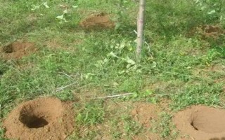 生物肥料的作用机理，主要是增进土壤肥力