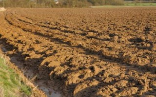 改良碱性土壤的物质是什么，有硫酸亚铁、磷石膏等