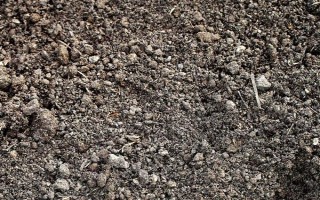 甘薯的施肥规律，给薯田施肥应施足基肥