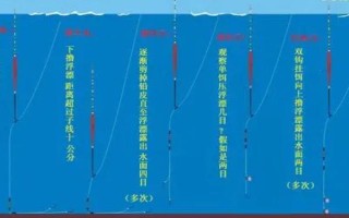 钓鲫鱼用什么漂，首先选择流线型或者枣核型的漂