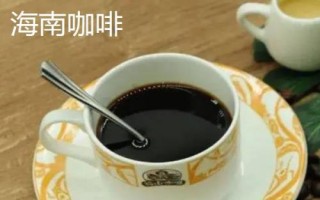 海南省三亚市的特产,椰子是当地特有的水果之一