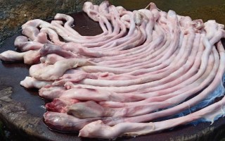 处理猪鞭的方法，洗净后焯水并刮除外膜、切开后洗净内膜即可去除腥臊味