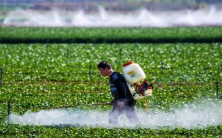 蔬菜连作的危害，可能导致病虫害加重或土壤次生盐渍化等