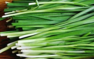 霜降过后可以在阳台上种什么蔬菜，可种植白菜、胡萝卜、大蒜等品种