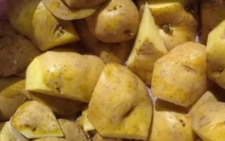 在水里怎么种植土豆,先将土豆进行一定的处理催化