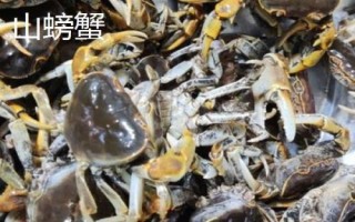 山螃蟹和河蟹的区别，生长环境和食用方法均不同