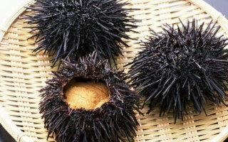 我国海胆的产地，产地为海南岛、大连等沿海地区