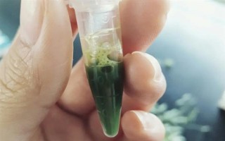 植物生长调节剂的分类，分为以下6大类