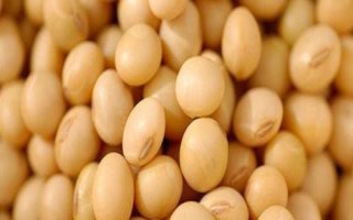 邯豆24大豆种子特点，每隔7~10天防治1次