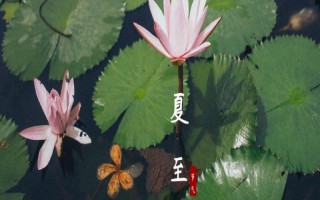 夏至的风俗，部分地方会进行祭祖大典