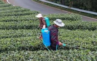 农药在100℃的高温下还有没有药性,大多数药物依然具有效果