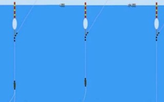 红虫野钓调漂的方法，调漂时一般都是调灵钓钝