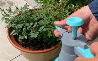 农作物根外施肥技术，根据气候条件选择喷肥时间