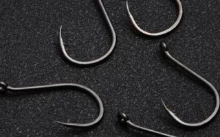 钓鲢鳙一般钓多深，钓浅是经常采用的一种方式