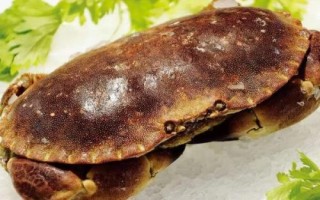 面包蟹和黄道蟹有什么区别，面包蟹属于黄道蟹里面的一个品种