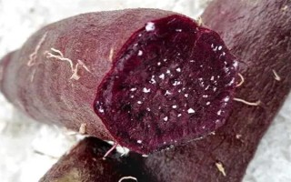 紫薯和红薯的区别，前者味甜较贵、后者甜味淡较便宜