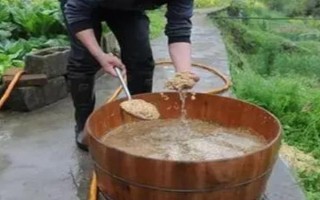 玉米播种前怎么浸种，以下4种方法均可使用