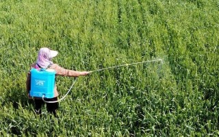 草甘膦效果和含量是否一样，甘膦效果和含量是不一样的