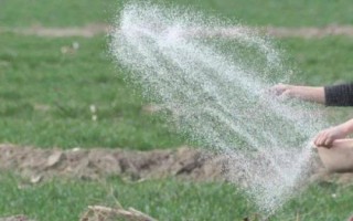 微生物肥料的长期使用的作用，可以修复污染土壤