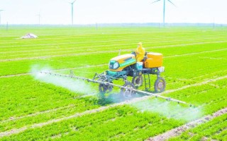 麦田如何科学使用除草剂,掌握好三改、二严、一选择